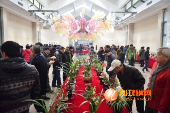兰展现场