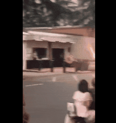 336.gif