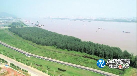 江岸绿意葱茏。
