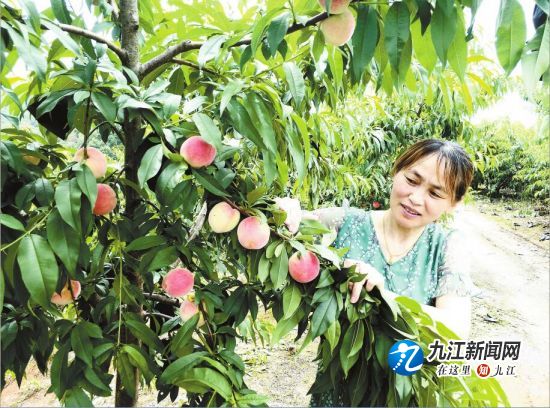QQ截图20180529112710
