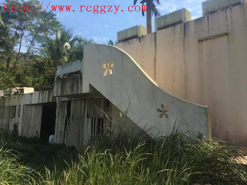 泰国网民预定了象岛的酒店到达后，我只看到了“杂草”