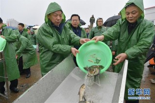 （环境）（1）春季禁渔 增殖放流
