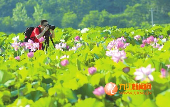 荷美南阳（活动主办方供图）