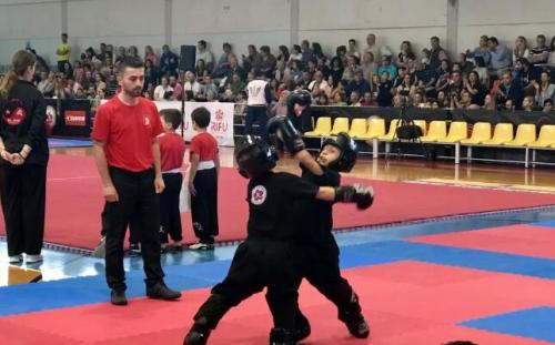 大师杯梅花拳击比赛在希腊武术媒体框架友谊桥举行