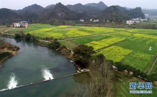 （美丽中国）（1）赣西大地 油菜花开