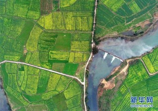 （美丽中国）（2）赣西大地 油菜花开